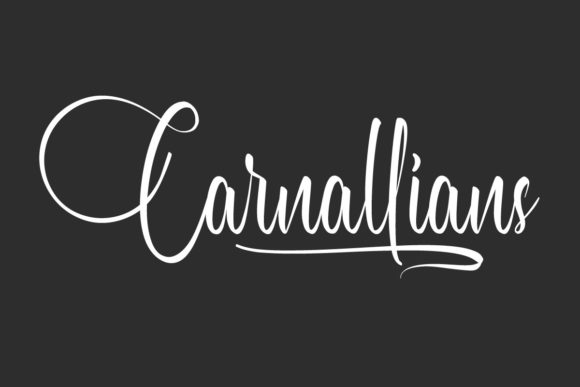 Carnallians: The Premium Script Font for Scroll-Stopping Social Media Graphics