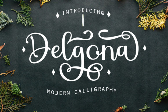 Delgona: The Script Font That Elevates Small Business Branding