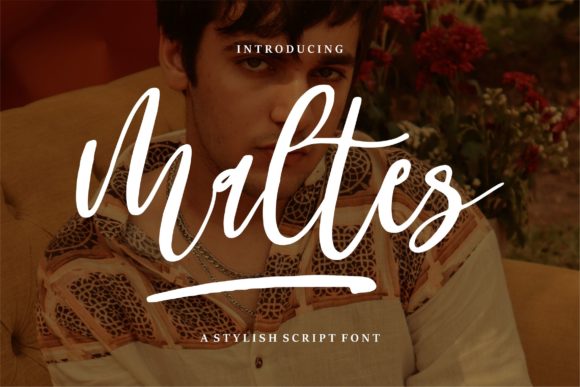 Maltes: The Elegant Script Font for Editorial Design