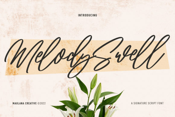 Melody Swell: The Script Font That Elevates Digital Branding