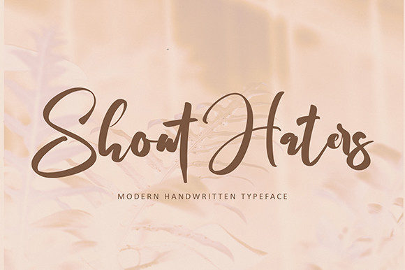 Shout Haters: A Dainty Script Font for Handmade Brands