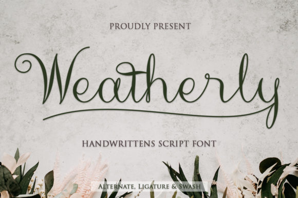 Weatherly Script Font Review for Campaign Design